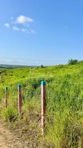 Fazenda/Sítio à venda, 260000m² no , Pilar