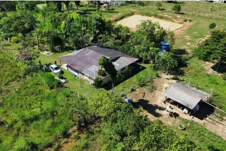 Fazenda/Sítio com 3 Quartos à venda, 156m² no Área Rural de Porto Velho, Porto Velho