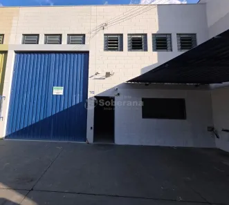 Galpão/Depósito/Armazém para alugar, 244m² no Jardim Itatinga, Campinas