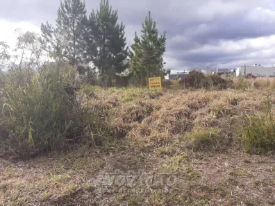 Lote/Terreno à venda, 336m² no São Virgílio, Caxias do Sul