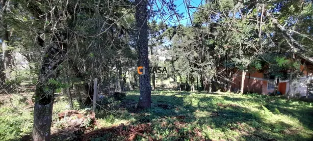 Lote/Terreno à venda, 2129m² no Moradias Bom Jesus, Campo Largo