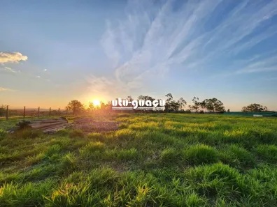 Lote/Terreno à venda, 20000m² no Buru, Salto