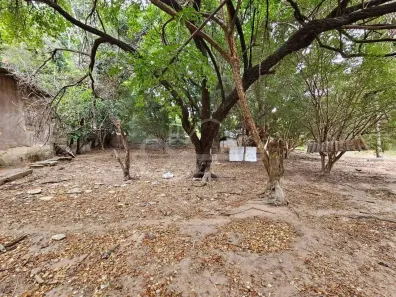 Lote/Terreno à venda, 82m² no Braúnas, Belo Horizonte