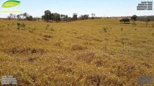 Fazenda/Sítio com 3 Quartos à venda, 1654840m² no , Morrinhos
