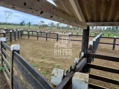 Fazenda/Sítio com 6 Quartos à venda, 1201m² no , Campos Altos