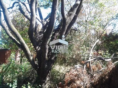 Lote/Terreno à venda, 1220m² no Parque Rural Fazenda Santa Cândida, Campinas