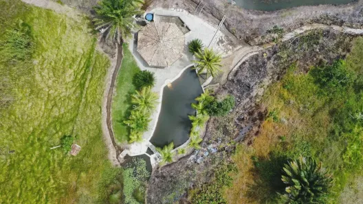 Fazenda/Sítio com 4 Quartos à venda, 800000m² no , Goianinha