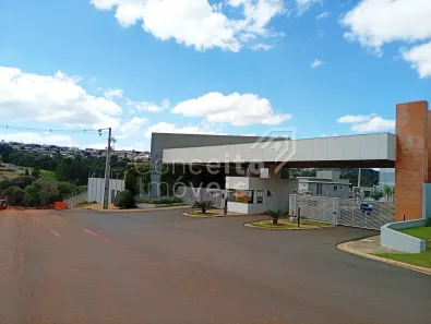 Lote/Terreno à venda, 264m² no Orfãs, Ponta Grossa