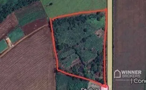 Fazenda/Sítio à venda, 40333m² no Parque Industrial José Belinati, Londrina