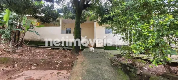 Casa com 5 Quartos à venda, 240m² no Jardim América, Belo Horizonte