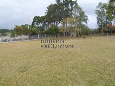 Lotes/Terrenos à venda em São José dos Pinhais, PR - Viva Real