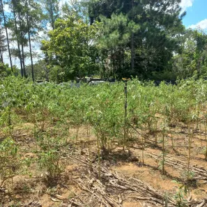 Lote/Terreno à venda, 500m² no Setor Lagoa Quente, Caldas Novas