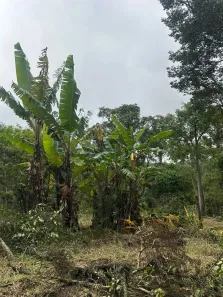Lote/Terreno à venda, 1000m² no , Mairinque