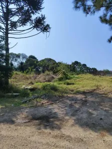Lote/Terreno à venda, 734m² no Roseira de São Sebastião, São José dos Pinhais