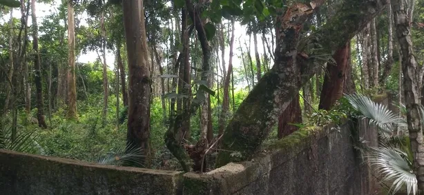 Lote/Terreno à venda, 500m² no Paisagem Renoir, Cotia