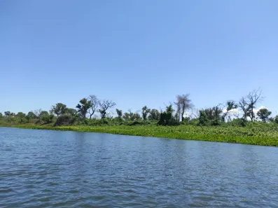 Fazenda/Sítio à venda, 13100000m² no Área Rural de Corumbá, Corumbá