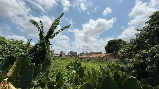 Lote/Terreno à venda, 1441m² no Sacramenta, Belém