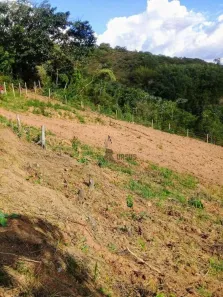Fazenda/Sítio à venda, 20000m² no Bom Sucesso, Pindamonhangaba