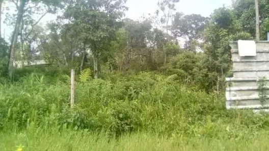 Lote/Terreno à venda, 250m² no sítio velho, Itanhaém