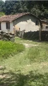 Fazenda/Sítio com 3 Quartos à venda, 200m² no , Gurupi