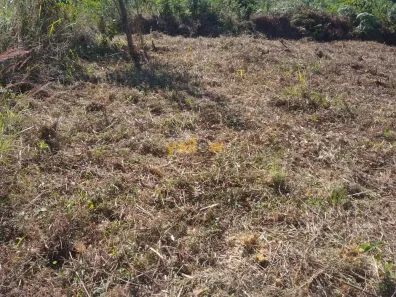 Lote/Terreno à venda, 1000m² no Condomínio Reserva Ibirapitanga, Santa Isabel