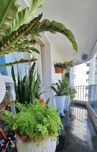 Apartamento com 3 Quartos à venda, 95m² no Vila Ester (Zona Norte), São Paulo