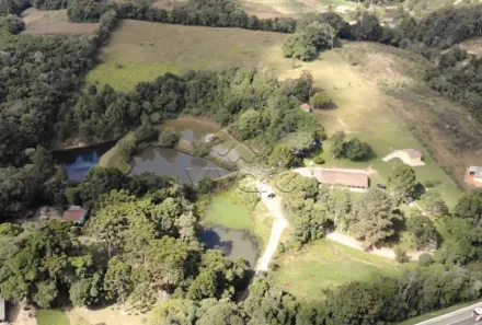 Fazenda/Sítio com 7 Quartos à venda, 180m² no Areia Branca dos Assis, Mandirituba