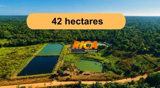 Fazenda/Sítio à venda, 420000m² no Área Rural de Porto Velho, Porto Velho