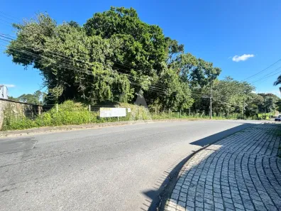 Lote/Terreno à venda, 1556m² no Floresta, Joinville