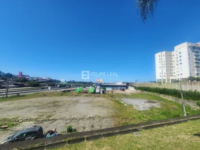 Lote/Terreno à venda, 9081m² no Serraria, São José