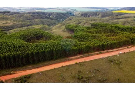 Fazenda/Sítio à venda, 1950000m² no , Água Fria de Goiás
