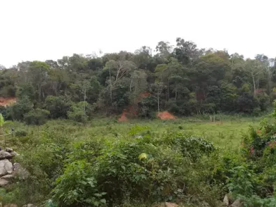 Lote/Terreno à venda, 525m² no Balneário Bambuí (Ponta Negra), Maricá