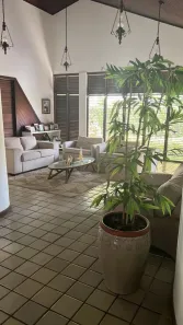 Casa com 4 Quartos à venda, 1160m² no Jardim Eldorado, São Luís