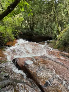 Fazenda/Sítio à venda, 15500m² no , Córrego do Bom Jesus