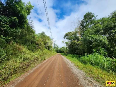Fazenda/Sítio com 1 Quarto à venda, 5000m² no Nova Petrópolis, Nova Petrópolis