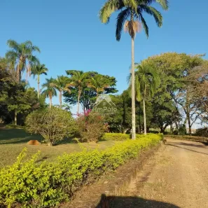 Lote/Terreno à venda, 250m² no Colinas do Castelo, Jaguariúna