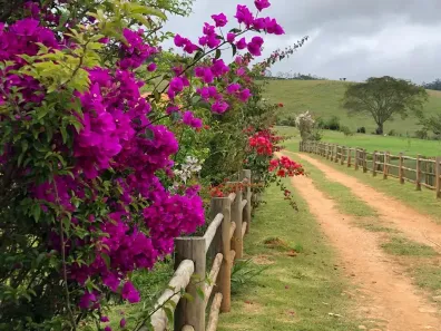 Fazenda/Sítio à venda, 100m² no Centro, Paraibuna