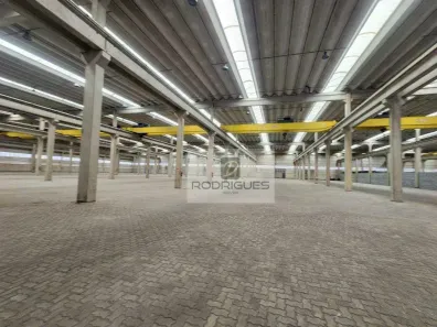 Galpão/Depósito/Armazém para alugar, 10000m² no Vila Alpina, São Paulo