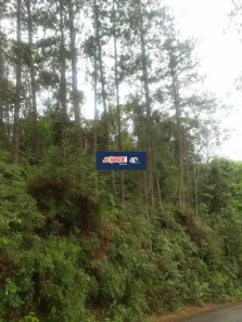 Lote/Terreno à venda, 3900m² no Água Azul, Guarulhos
