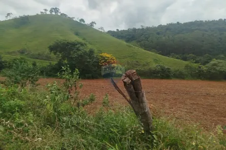 Lote/Terreno à venda, 100000m² no Alto Rio Doce, Alto Rio Doce
