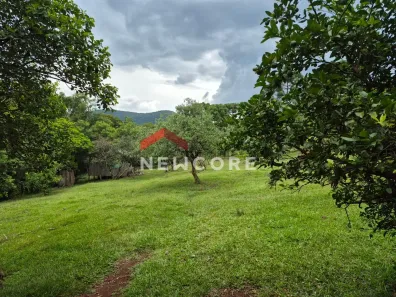 Fazenda/Sítio com 4 Quartos à venda, 120m² no Centro, São Francisco de Paula