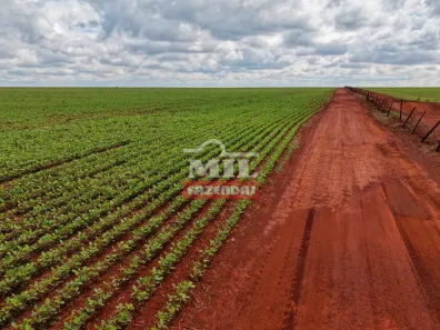 Fazenda/Sítio à venda, 1m² no , Acreúna