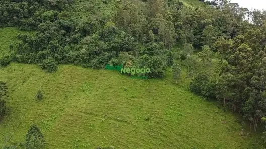 Fazenda/Sítio à venda, 90000m² no Centro, Marmelópolis