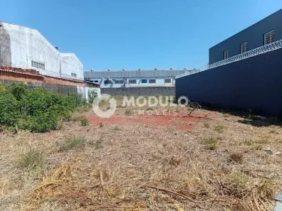 Lote/Terreno à venda, 534m² no Novo Mundo, Uberlândia