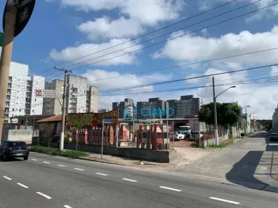 Lote/Terreno para alugar, 2920m² no Vila Califórnia, São Paulo