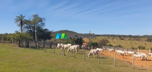 Fazenda/Sítio com 1 Quarto à venda, 1500m² no Centro, Santa Luzia
