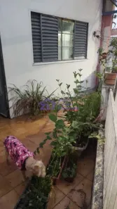 Casa com 5 Quartos à venda, 126m² no Vila Formosa, São Paulo