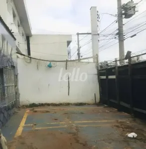 Lote/Terreno para alugar, 240m² no Cidade Patriarca, São Paulo