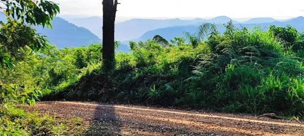 Lote/Terreno à venda, 15m² no Fazenda Pirajá, Nova Petrópolis