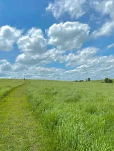 Fazenda/Sítio à venda, 500m² no Cercado, Araçoiaba da Serra